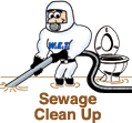 Sewage Clean Up